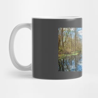 Swamp in Southeastern Georgia Mug